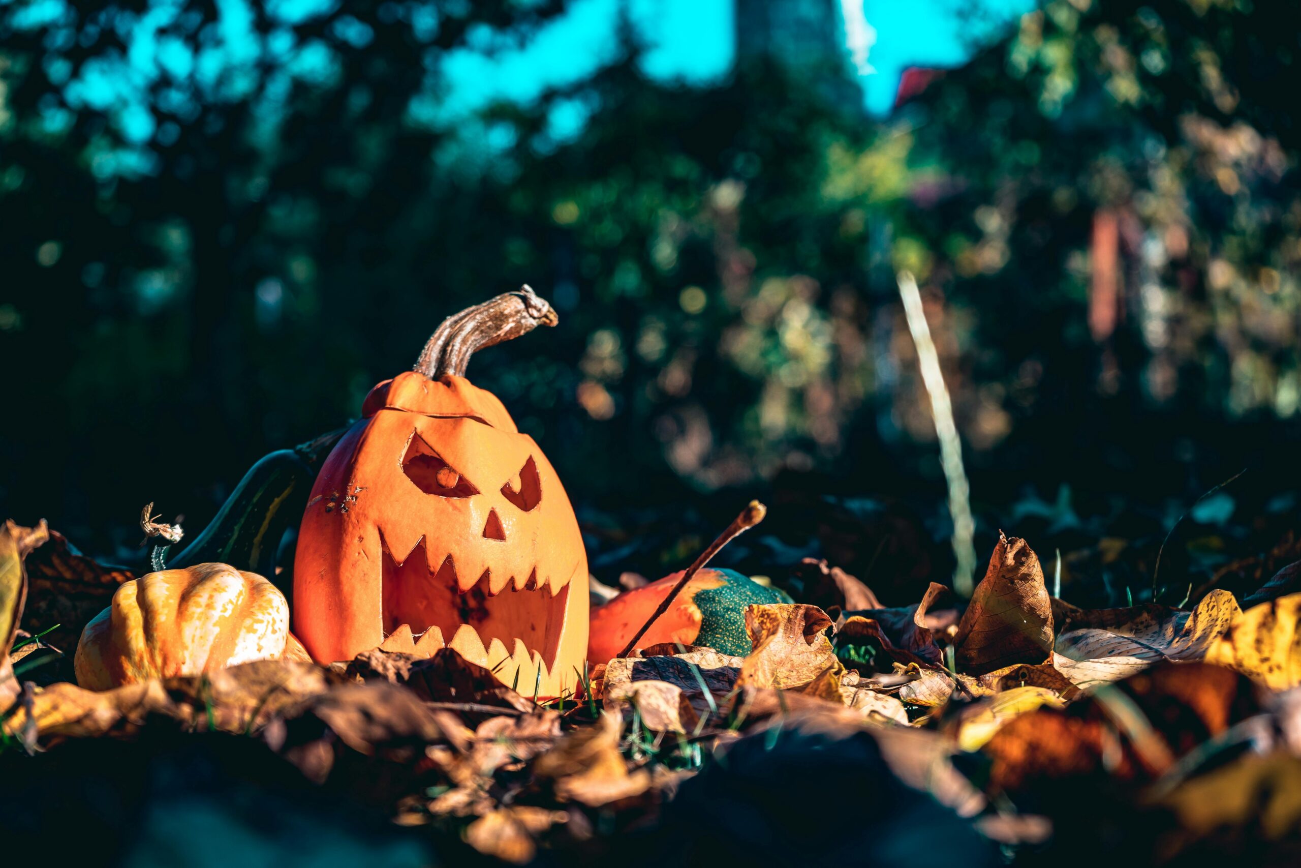 Halloween: Tudo o que Você Precisa Saber Sobre o Dia das Bruxas