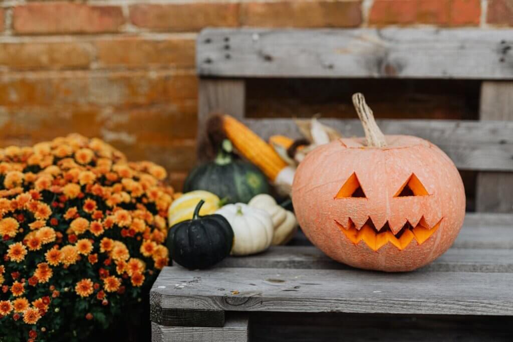 Qual o Motivo de Comemorar o Halloween?