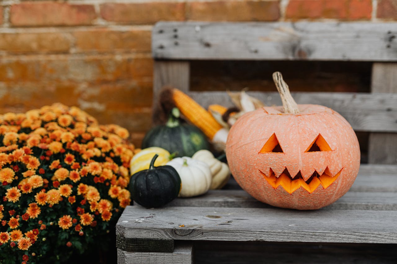 Qual o Motivo de Comemorar o Halloween?