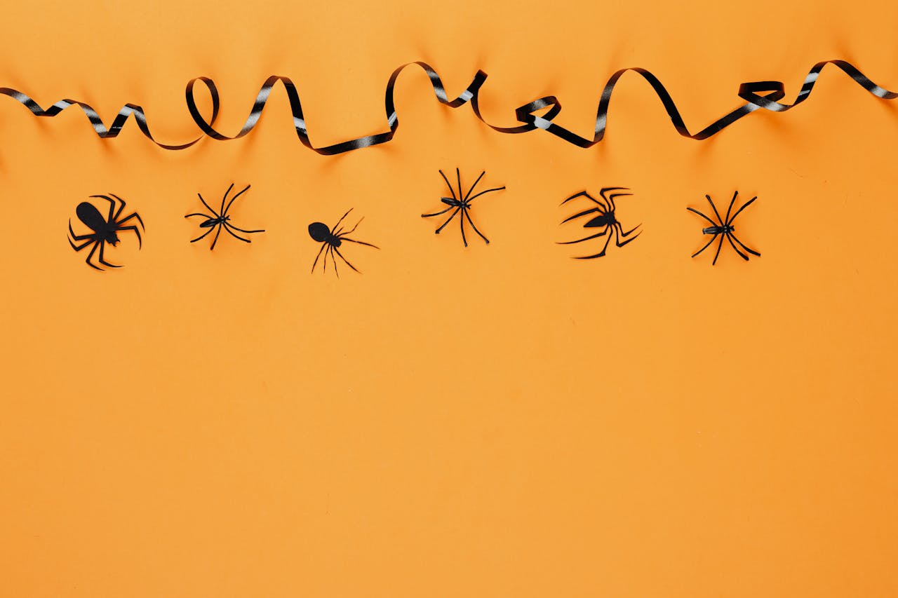 Adesivo de Parede de Aranha: Como Criar um Ambiente Assustador e Temático
