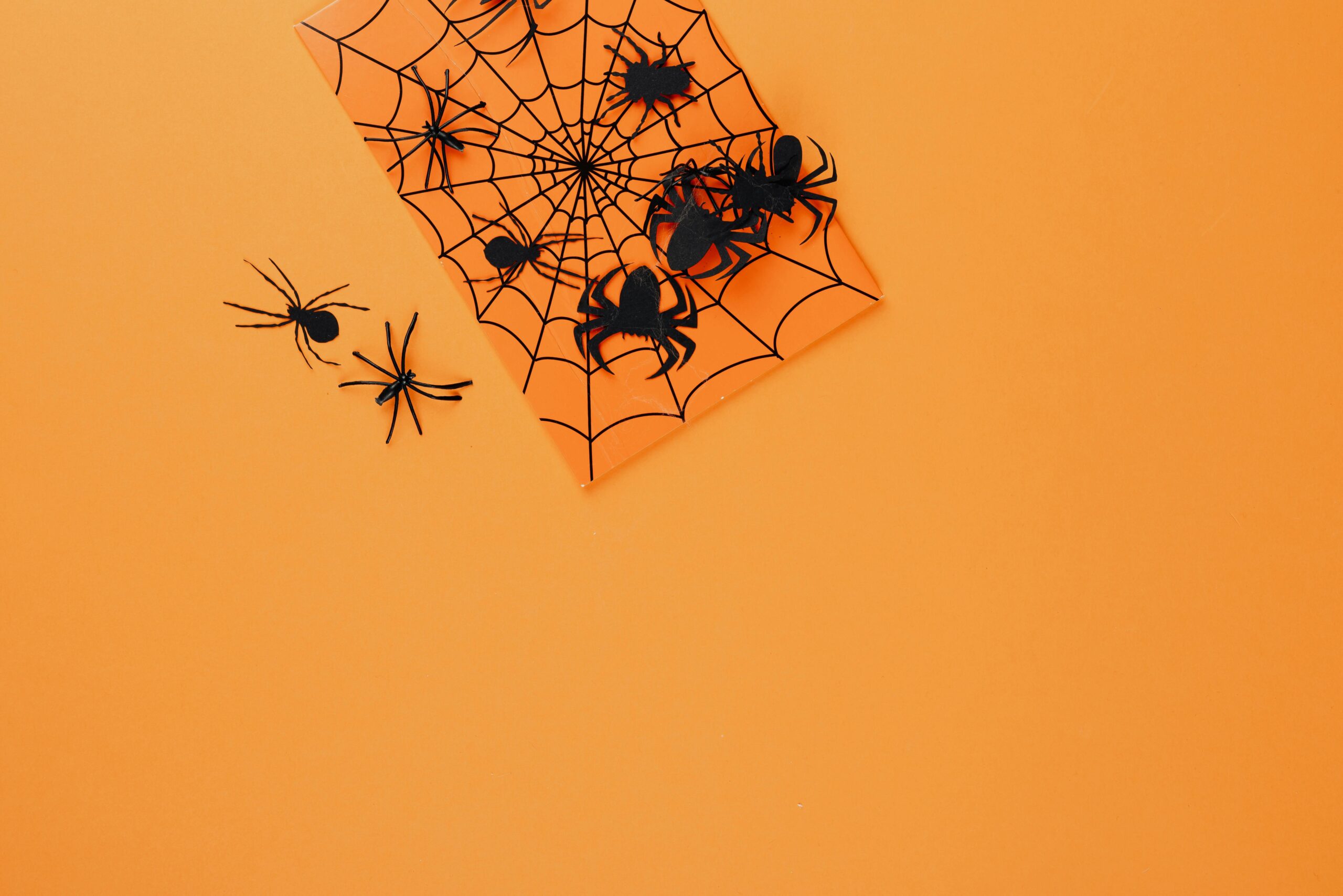 Papel de Parede de Aranha: Transforme suas Paredes com o Tema Halloween