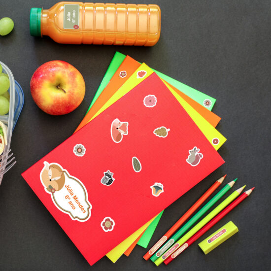 Etiquetas Escolares Personalizadas Raposa Kit Jumbo