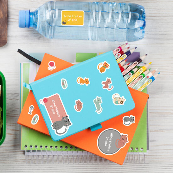 Etiquetas Escolares Gatinhos Personalizadas Kit Jumbo