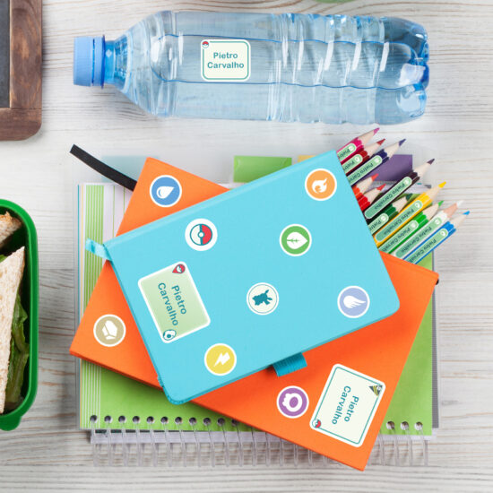Etiquetas Escolares Pokémon Go Personalizadas Kit Jumbo