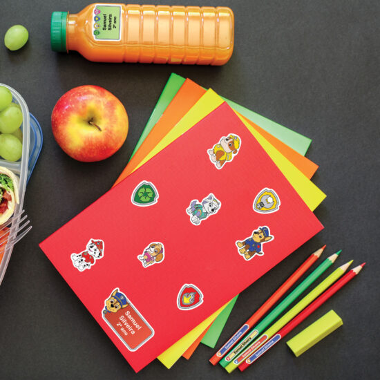 Etiquetas Escolares Patrulha Personalizadas Coloridas Jumbo
