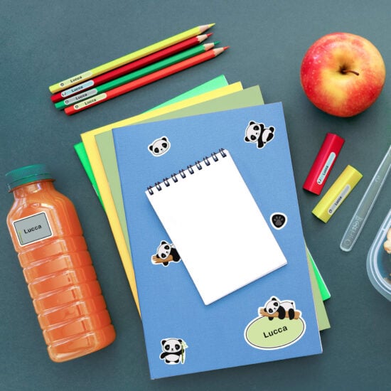 Adesivos para cadernos escolares