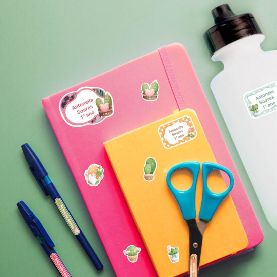 Etiqueta escolar menino