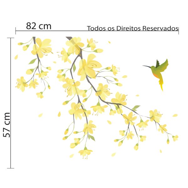 beija_flor_esquerda_Dimensoes