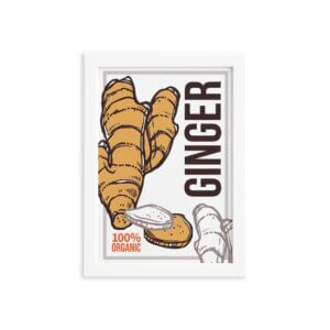 Ginger_fb_br.jpg
