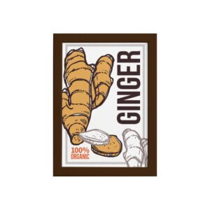 Ginger_fb_mar.jpg