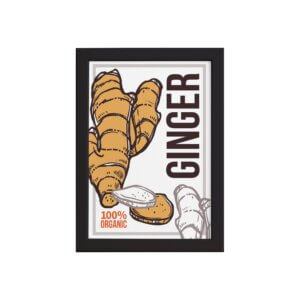 Ginger_fb_pre.jpg