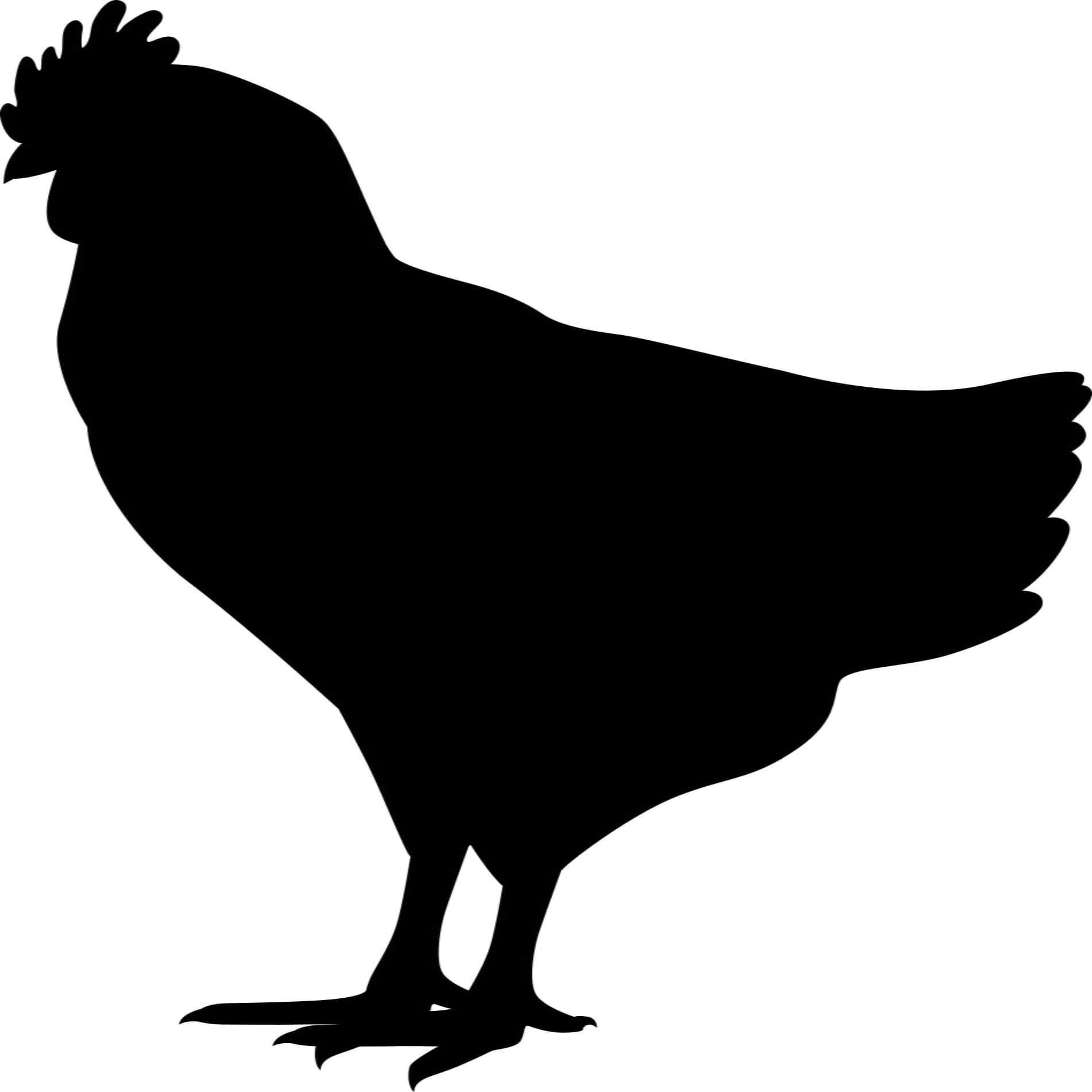 Adesivo de Parede Lousa Para Cozinha Galinha