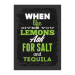 Placa Decorativa MDF Frase Vida e Tequila