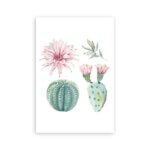 Placa Decorativa Cacto Floridos MDF 20x30cm