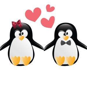 Adesivo de Pinguim para Geladeira Casal e Corações 