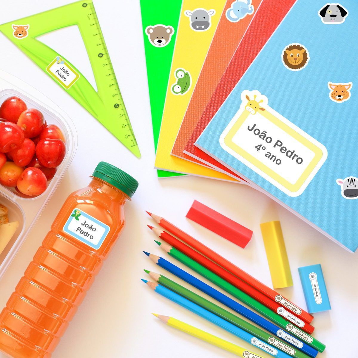 Etiquetas Personalizadas Escolares Animais Safari 86un