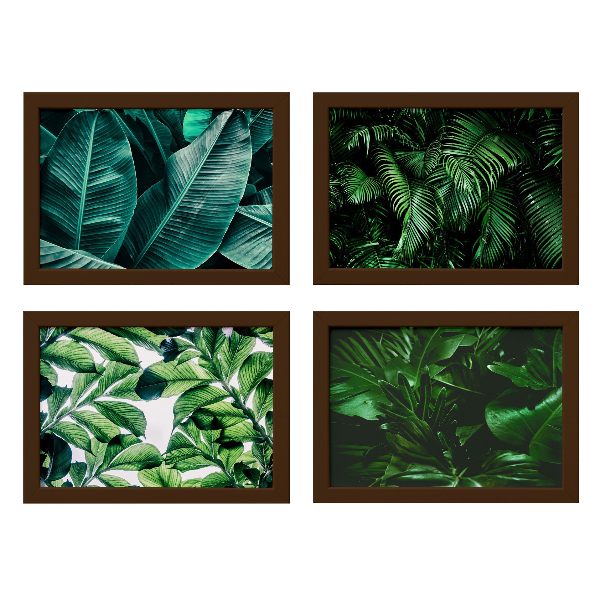 Quadro Decorativo Folhagem Folha 22x32cm Mold Marrom Kit 4un