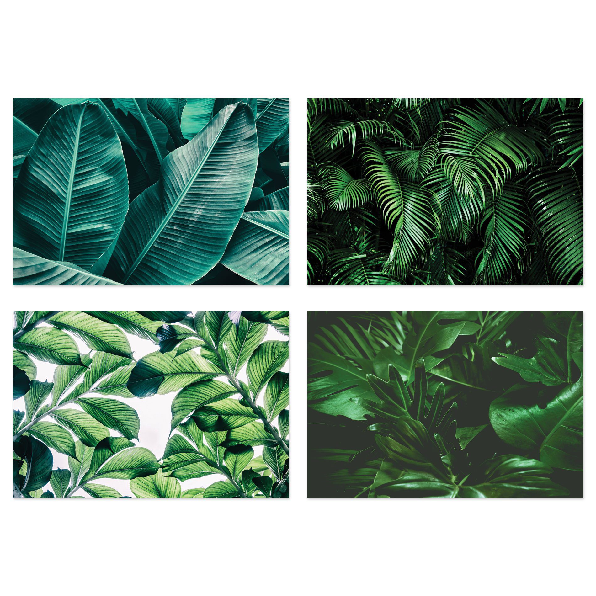 Placa Decorativa MDF Folhagem Folha 30x40cm Kit 4un