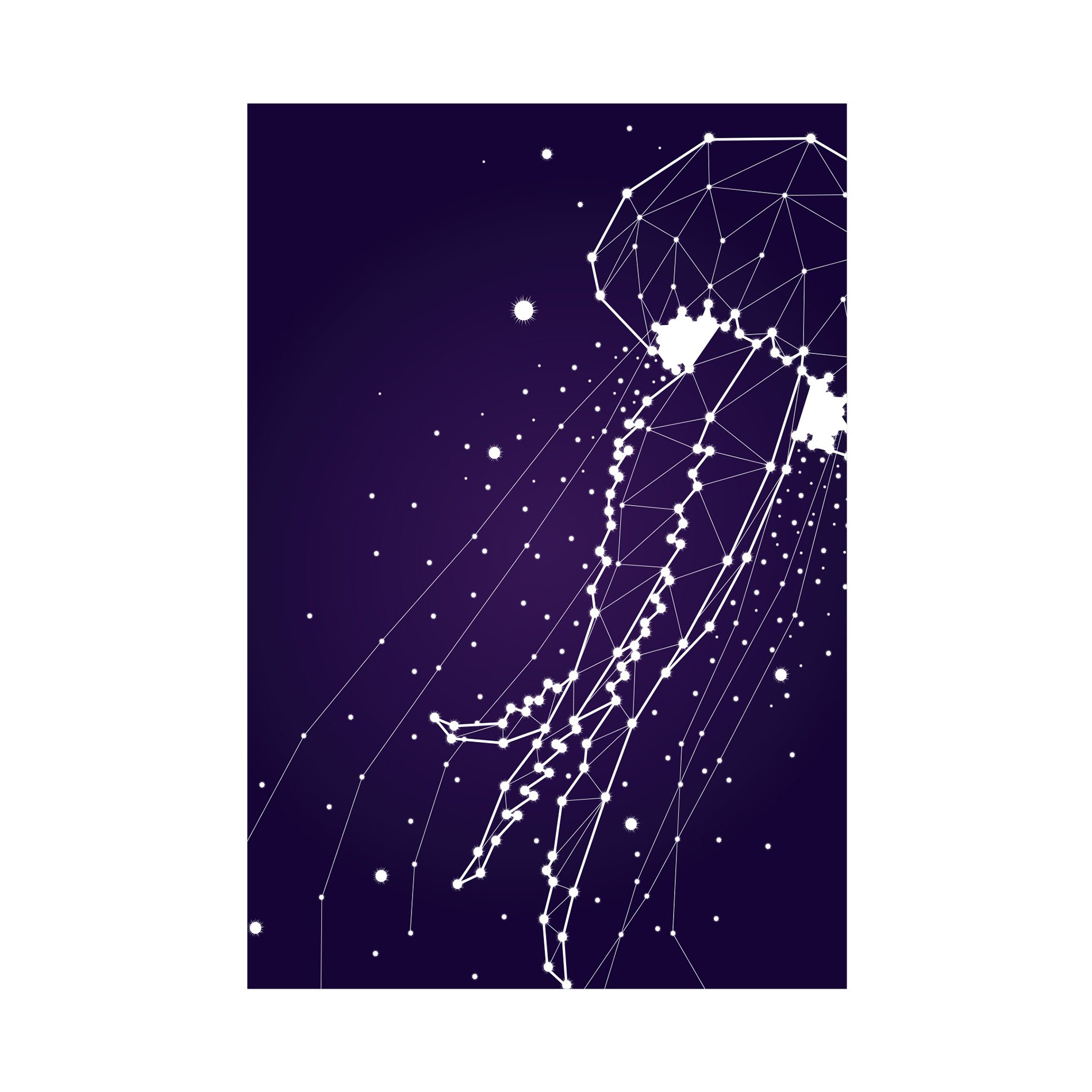 Placa Decorativa Constelação Água Viva 20x30cm,Placa Decorativa Constelação Água Viva 20x30cm