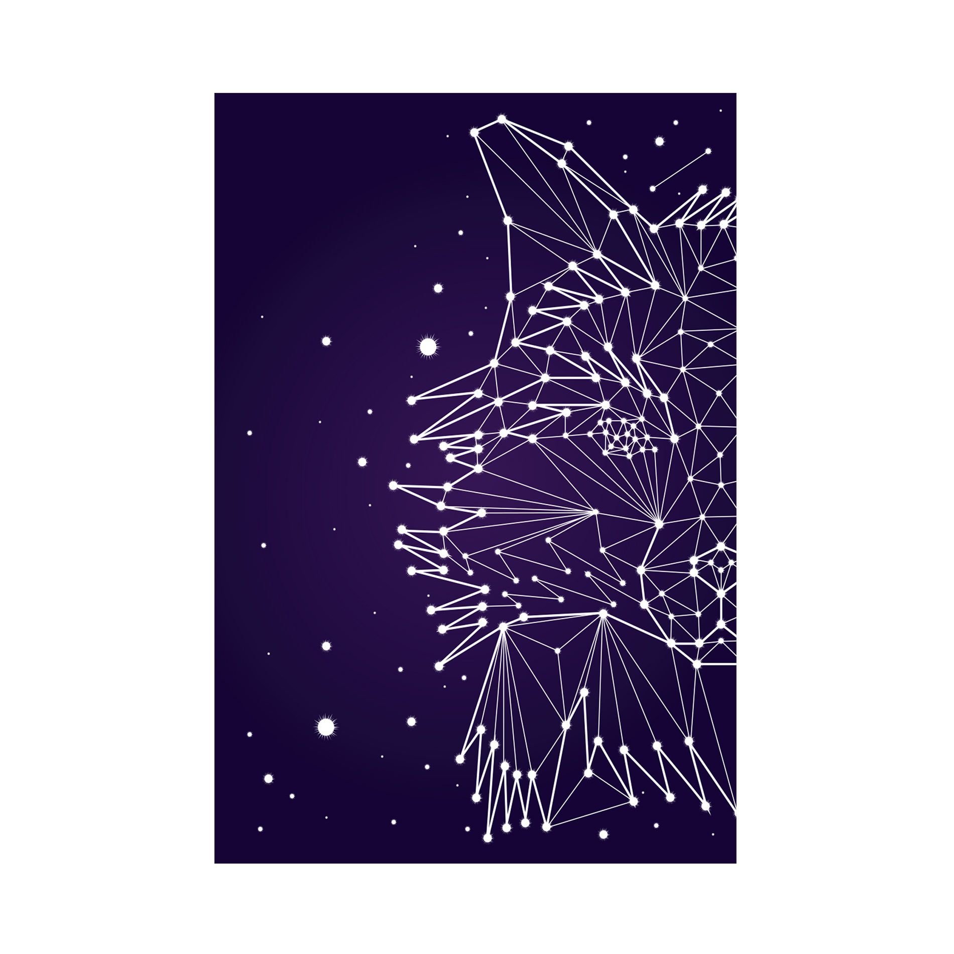 Placa Decorativa Constelação Lobo 20x30cm,Placa Decorativa Constelação Lobo 20x30cm