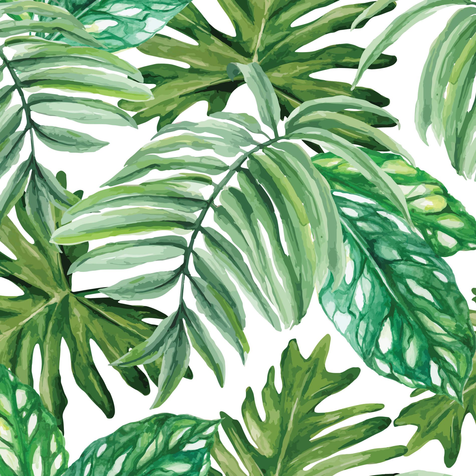 Papel de Parede Folhagem Verde