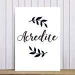 Placa Decorativa Frases de Motivação Acredite 30x40cm
