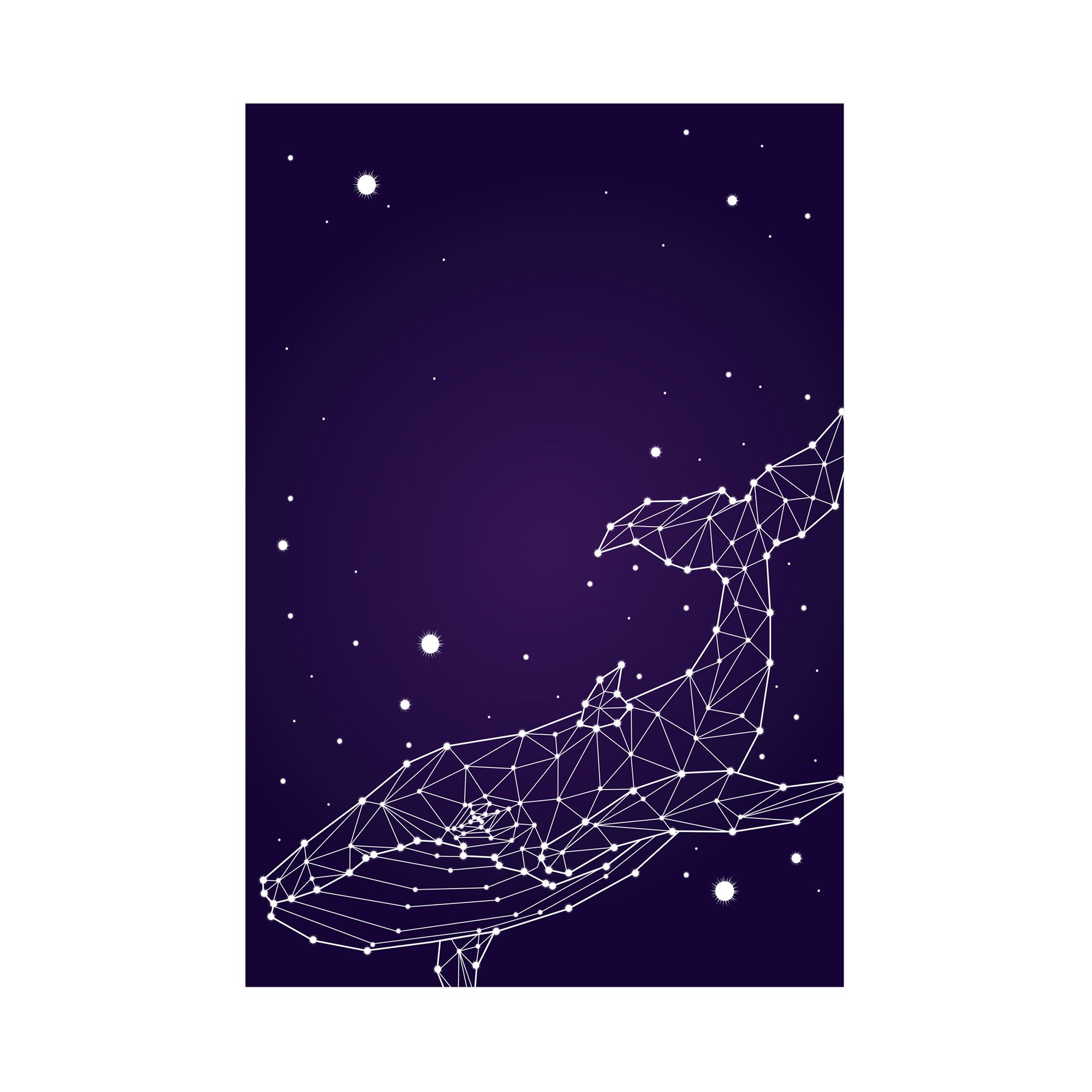 Placa Decorativa Constelação Baleia 20x30cm,Placa Decorativa Constelação Baleia 20x30cm