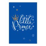Placa Decorativa Quarto de Bebê Pequeno Principe 30x40cm