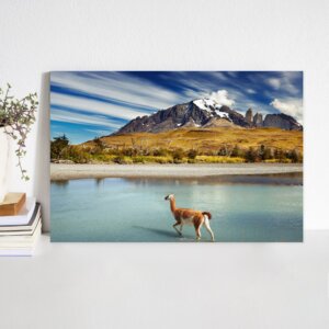 cenario_placa_torres_del_paine_patagonia_chile_1900.jpg