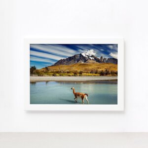 cenario_torrers_del_paine_patagonia_chile_quadro_branco_1900.jpg