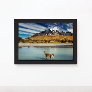 cenario_torrers_del_paine_patagonia_chile_quadro_preto_1900.jpg