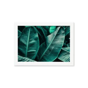 Quadro Decorativo Folhagem Folha Moldura Branca 33x43cm