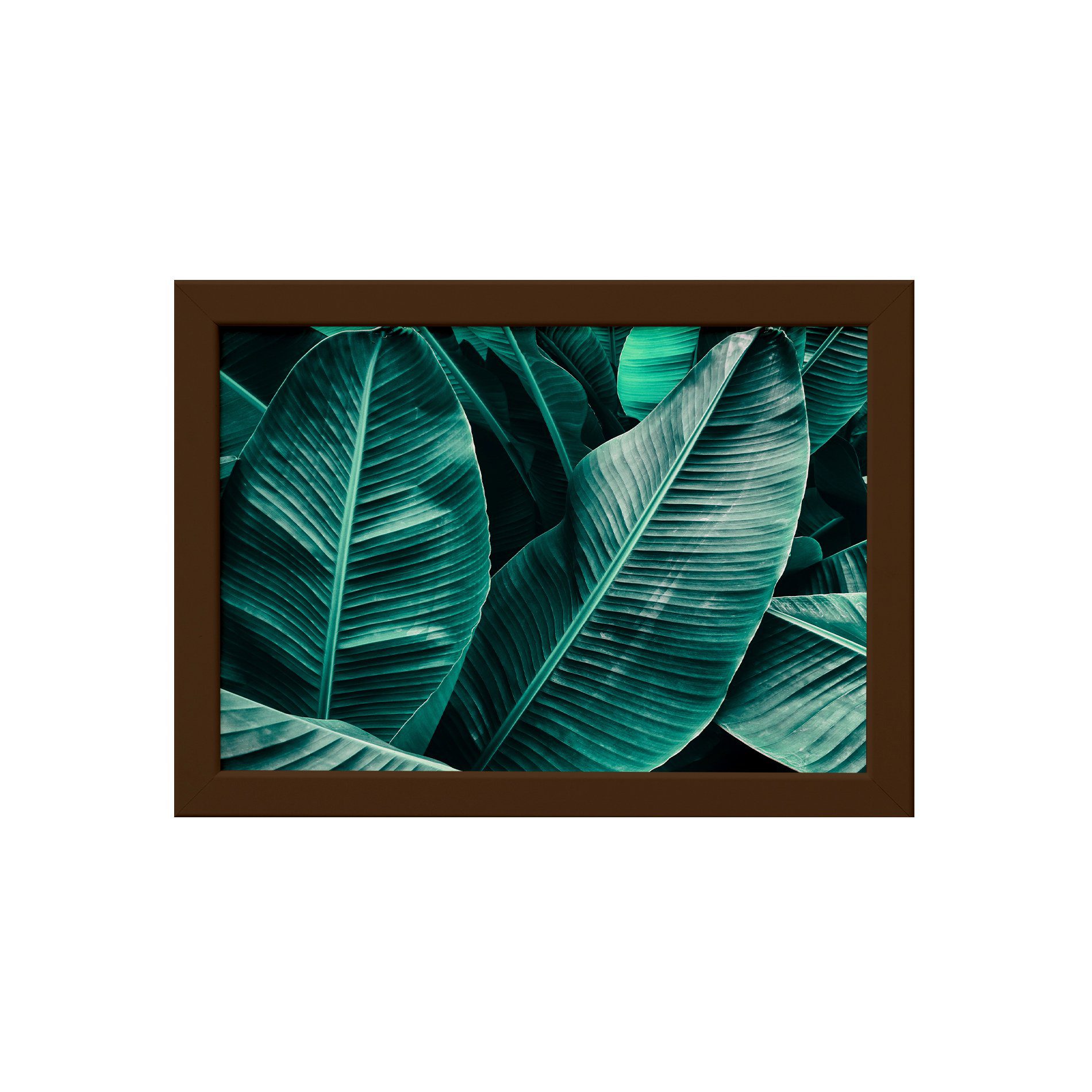 Quadro Decorativo Folhagem Folha 22x32cm Mold Marrom Kit 4un