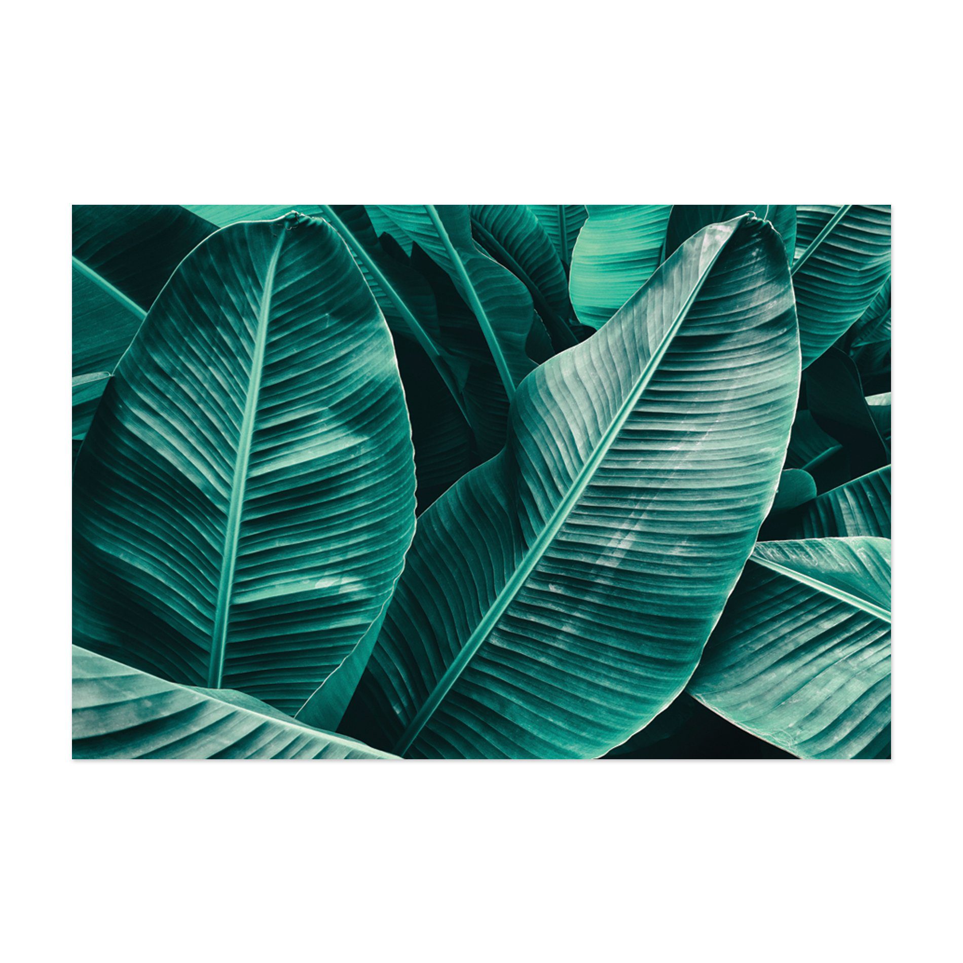 Placa Decorativa MDF Folhagem Folha 30x40cm Kit 4un