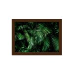 Quadro Decorativo Folhagem Folha 2 Moldura Marrom 22x32cm