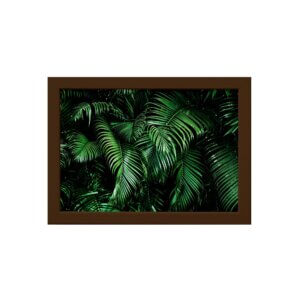 Quadro Decorativo Folhagem Folha 2 Moldura Marrom 22x32cm