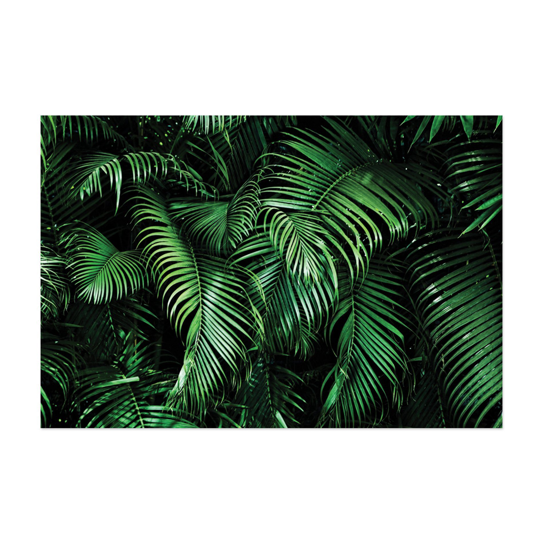 Placa Decorativa MDF Folhagem Folha 30x40cm Kit 4un