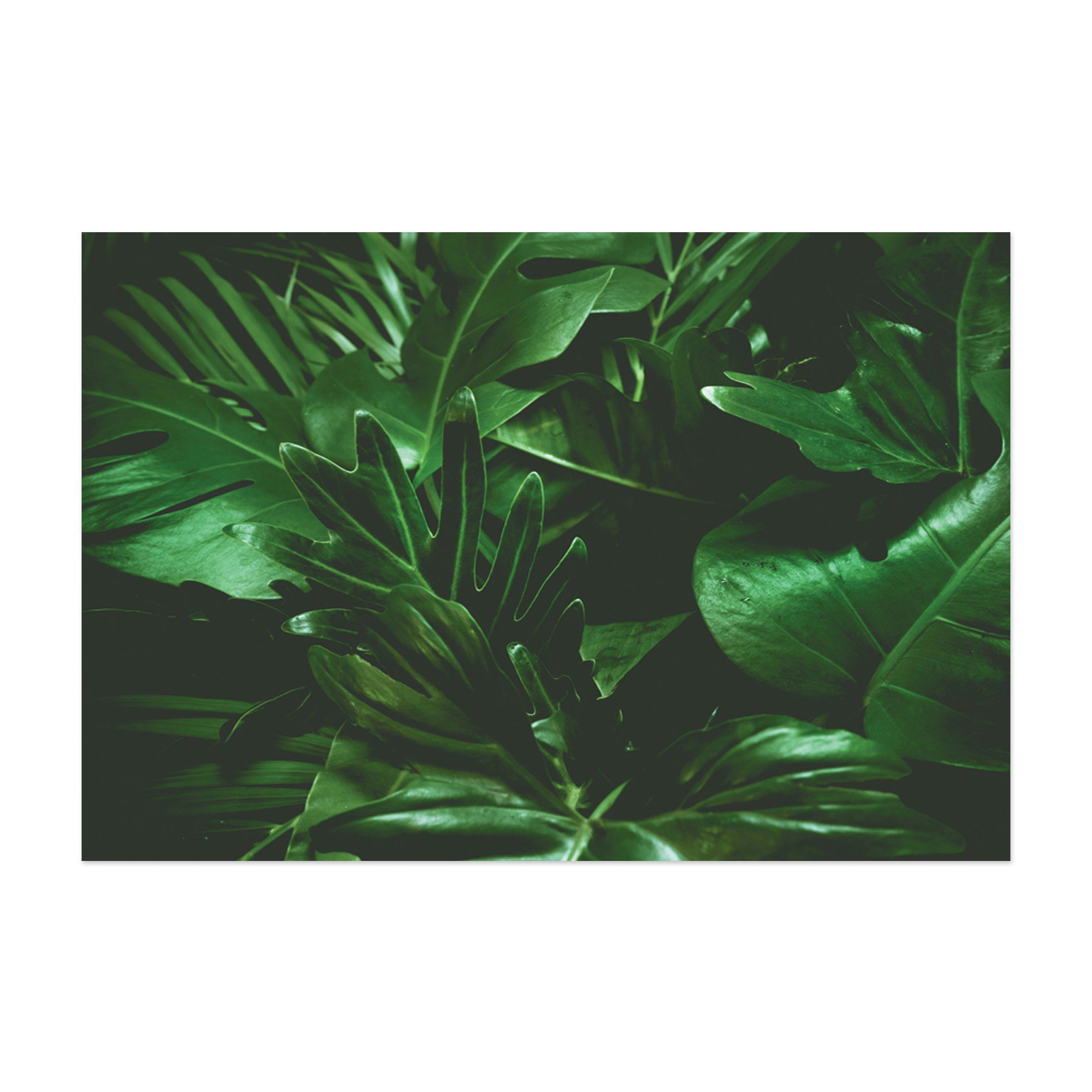 Placa Decorativa MDF Folhagem Folha 30x40cm Kit 4un