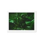 Quadro Decorativo Costela de Adão Moldura Branca 33x43cm