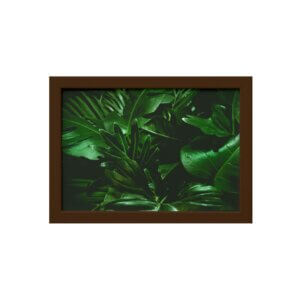 Quadro Decorativo Costela de Adão Moldura Marrom 22x32cm