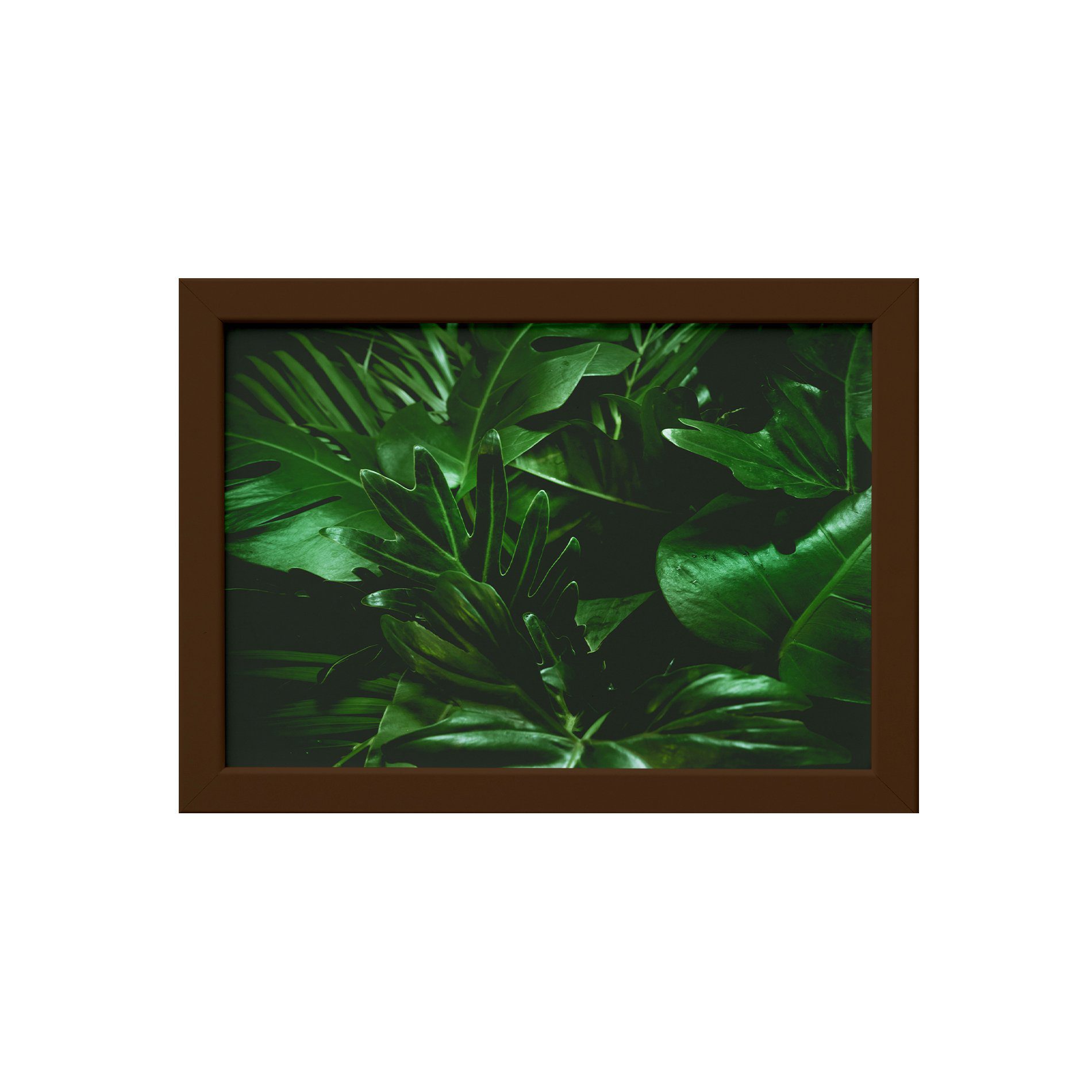 Quadro Decorativo Costela de Adão Moldura Marrom 22x32cm