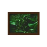Quadro Decorativo Costela de Adão Moldura Marrom 33x43cm