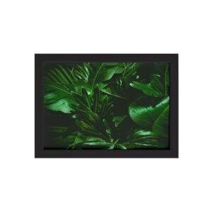 Quadro Decorativo Folhagem Folha 4 Moldura Preta 22x32cm