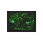 Quadro Decorativo Costela de Adão Moldura Preta 33x43cm