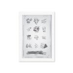 Quadro Cozinha Tipos Massas Italianas Moldura Branca 33x43cm