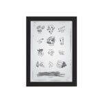 Quadro Cozinha Tipos Massas Italianas Moldura Preta 33x43cm