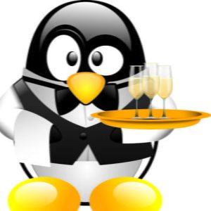 Adesivo de Geladeira Pinguim Champanhe 25x25