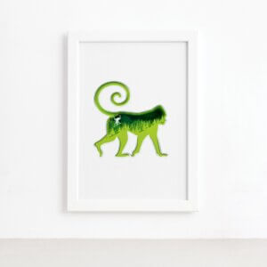 Quadro Animais Macaco Moldura Branca 22x32cm,Quadro Animais Macaco Moldura Branca 22x32cm