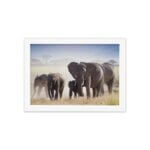 Quadro para Sala Foto Safari Elefante Moldura Branca 22x32cm