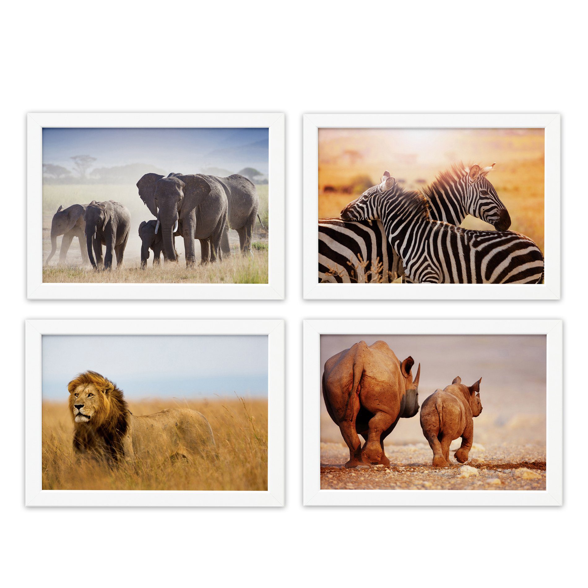 Quadros Animais Safari para Sala Moldura Branca 33x43cm 4un